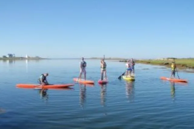 Fort Myers Beach SUP and Kayak Tour 1 Hour - Image 4