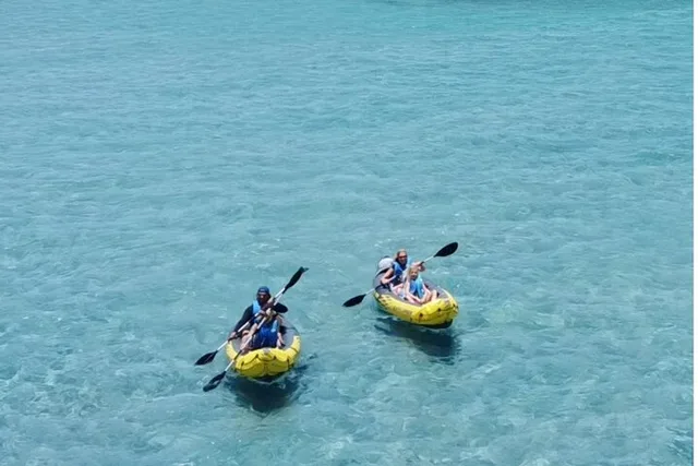 West Palm Beach Kayak Tour to a Secret Island 90 min - Image 4
