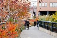 New York City High Line Self-Guided Walking Tour thumbnail 5
