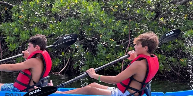 Miami Paddle Board or Kayak Rental in Virginia Key - Image 3
