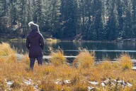 Yellowstone Winter Wildlife and Snowshoe Tour thumbnail 6