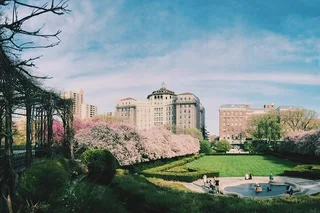 New York Central Park Running Tour