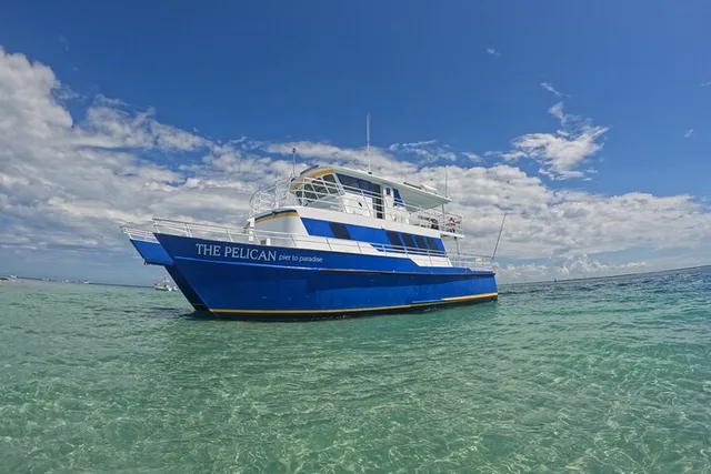 St. Petersburg Ferry to Pine Key Experience - Image 2