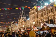 New York City Christmas Lights Carriage Ride thumbnail 3