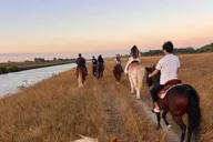 Miami Horseback Riding thumbnail 2
