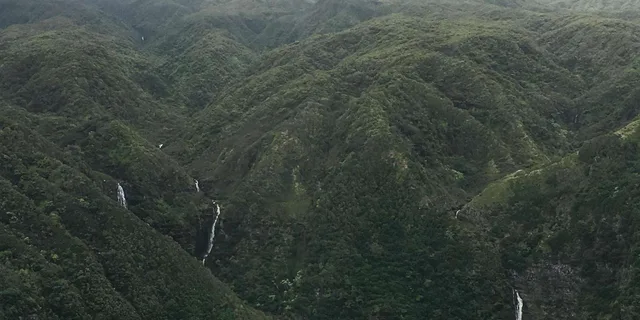 Maui Helicopter Tour Over West Maui and Molokai 45 Min - Image 3