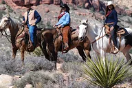 Las Vegas Horseback Ride with Breakfast thumbnail 2