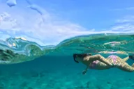 West Palm Beach Peanut Island Boat & Snorkel Tour thumbnail 3