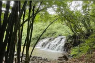 Kauai Guided Hike and Waterfall Swim thumbnail 6