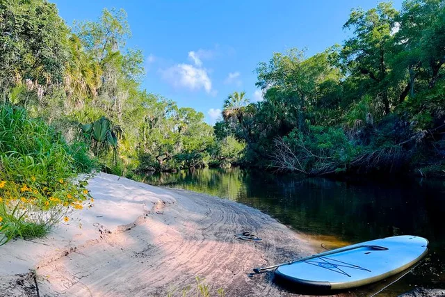 Upper Manatee River Stand Up Paddle Board Tour 2 hr - Image 3