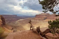Moab Arches & Canyonlands Backcountry 4X4 Jeep Tour thumbnail 3