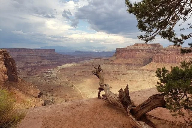 Moab Arches & Canyonlands Backcountry 4X4 Jeep Tour - Image 3