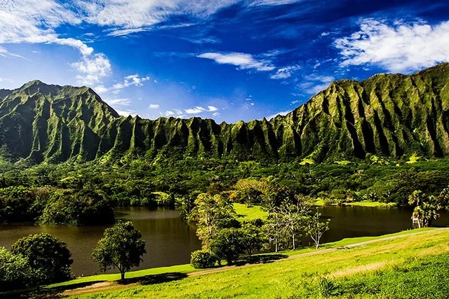 Oahu East Coast Slingshot Tour - Image 1