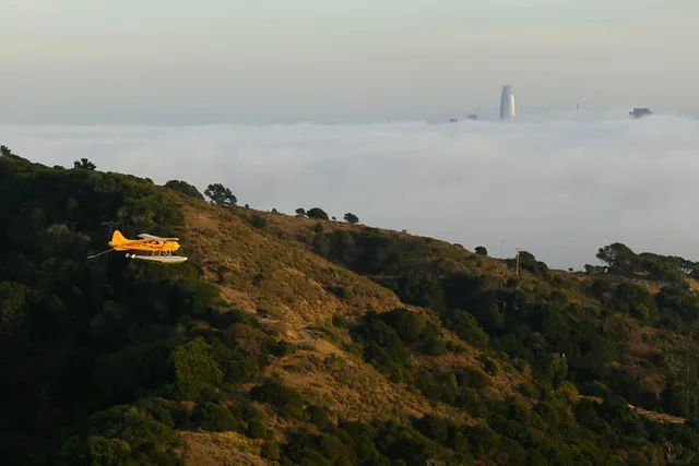 San Francisco Seaplane Tour 1 hr - Image 6