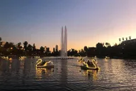 Los Angeles Swan Boat Ride at Night thumbnail 4