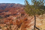 Las Vegas Zion and Bryce Canyon Day Tour thumbnail 2