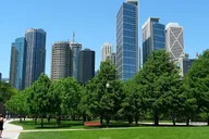 Chicago Private Tour with 360 Observation Deck thumbnail 3