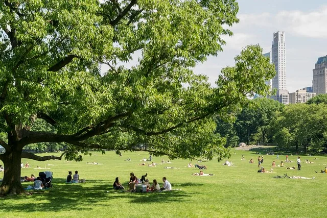 New York Central Park Running Tour - Image 4