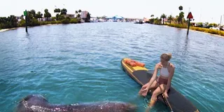 Daytona Beach Kayaking and Paddleboarding Tour