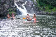 Hilo Waterfall and River Swim thumbnail 2