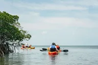 Key West Sandbar and Kayak Adventure thumbnail 5