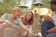 Orlando Gatorland Interactive Tour with Animal Trainer 2 hr thumbnail 3