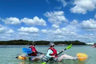 Clearwater Clear Kayak Tour thumbnail 1
