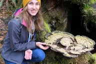 Seattle Olympic National Park Rainforest Tour thumbnail 3