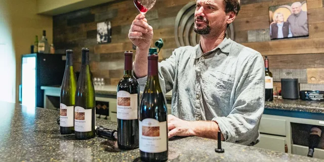 San Francisco Wine Country Tour 5.5 hr - Image 4