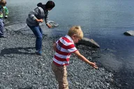 Whittier to Anchorage Wildlife Sightseeing Tour thumbnail 2
