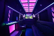 Party Bus Sprinter Limo Tour thumbnail 2