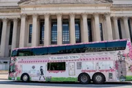 Washington, D.C. Tea Bus Tour with Landmarks thumbnail 1