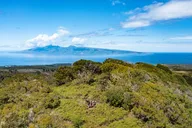 Kapalua Ridgeline Hike thumbnail 2