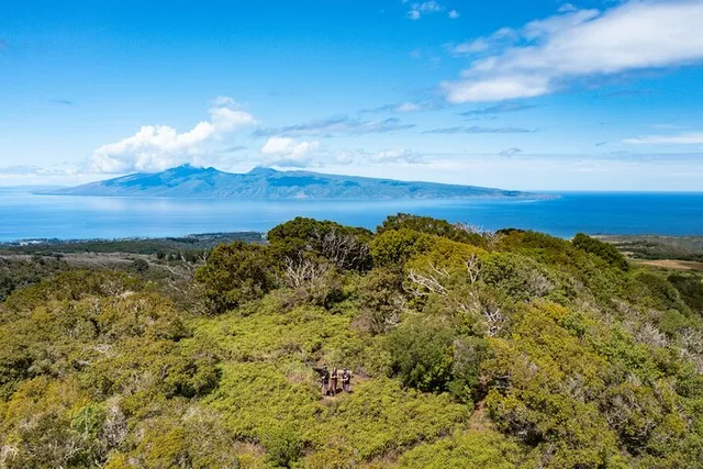 Kapalua Ridgeline Hike - Image 2