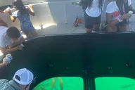 Long Beach Glass-Bottom Boat Ecotour thumbnail 3