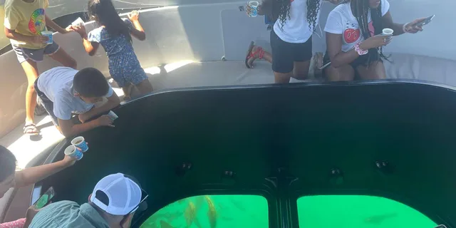 Long Beach Glass-Bottom Boat Ecotour - Image 3