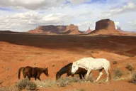 Sedona Monument Valley Tour thumbnail 4