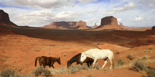 Sedona Monument Valley Tour - Image 4