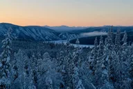 Fairbanks Arctic Circle Northern Lights Tour thumbnail 5