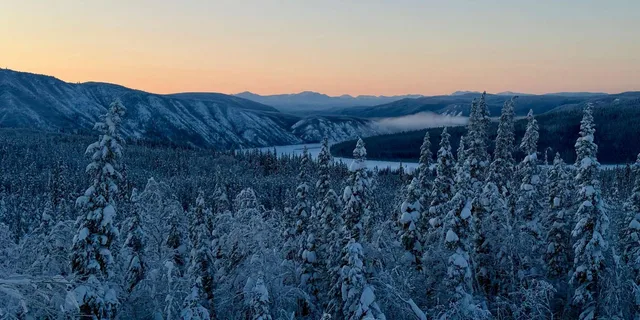 Fairbanks Arctic Circle Northern Lights Tour - Image 5
