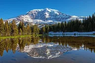 Portland Mt. Rainier Small Group Tour thumbnail 1