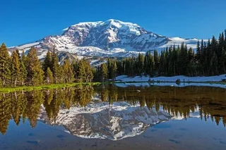 Portland Mt. Rainier Small Group Tour