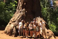Yosemite Off-Road Giant Sequoia 4x4 Tour thumbnail 1