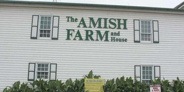 Washington D.C. Amish Farm and Village Tour - Image 2