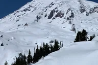 Seattle Mt. Rainier National Park Guided Tour thumbnail 2