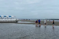 Hilton Head Dolphin Tour with Disappearing Island Stop thumbnail 6