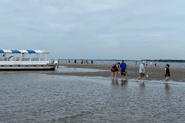 Hilton Head Dolphin Tour with Disappearing Island Stop - Image 6