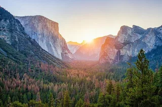 Oakland Yosemite National Park Tour