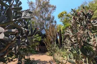San Juan Capistrano Scavenger Hunt Tour 90 min thumbnail 3