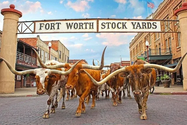 Dallas Fort Worth Day Tour - Image 1